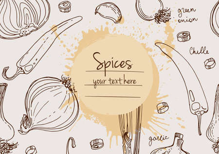 Herbs. Spices. Herb drawn black lines on a white background. Vector illustration. Background with herbs with window for textのイラスト素材