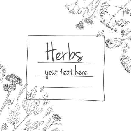 Herbs flowers vector color line. Space for text. Template with a sketch of herbs.のイラスト素材