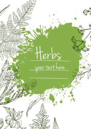Herbs flowers vector color line. Space for text. Template with a sketch of herbs.のイラスト素材