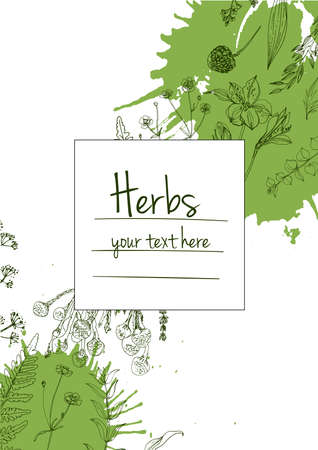 Herbs flowers vector color line. Space for text. Template with a sketch of herbs.のイラスト素材