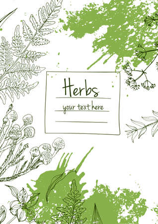 Herbs flowers vector color line. Space for text. Template with a sketch of herbs.のイラスト素材