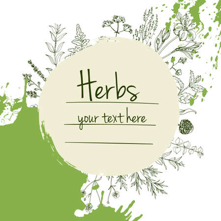 Herbs flowers vector color line. Space for text. Template with a sketch of herbs.のイラスト素材