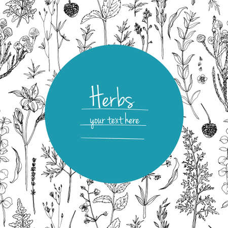 Herbs flowers vector color line. Space for text. Template with a sketch of herbs.のイラスト素材