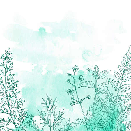 Flowers and herbs line on watercolor background colorのイラスト素材