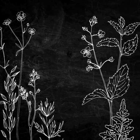 Flowers and herbs in a line on a black background. Slate textureのイラスト素材