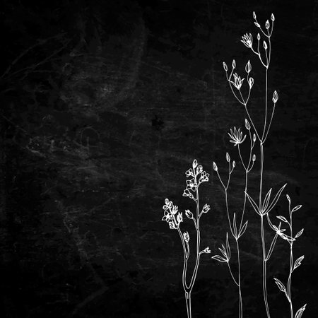 Flowers and herbs in a line on a black background. Slate textureのイラスト素材