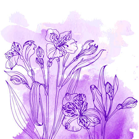 Flowers and herbs line on watercolor background colorのイラスト素材