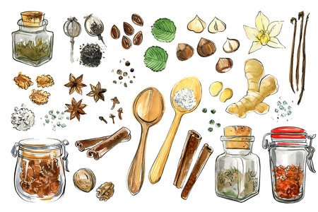 Food illustration watercolor spices and herbs spice jar.の写真素材