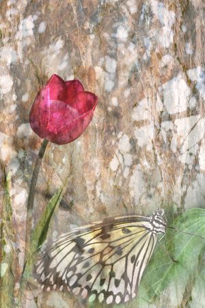 Bright pink tulip and butterfly against textured tree backgroundの写真素材