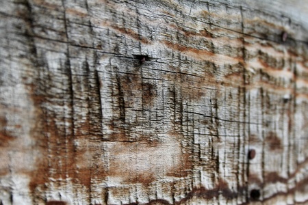 Textured wooden background with brown shades of colorの写真素材