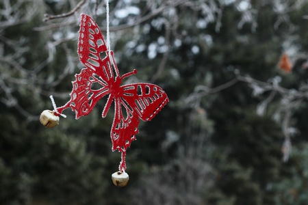 Red butterfly with ice crystals in middle winterの写真素材