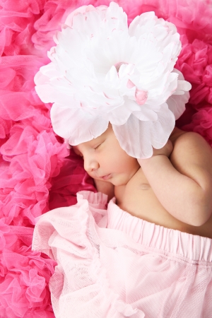 Beautiful newborn baby girl wearing a flower hatの写真素材