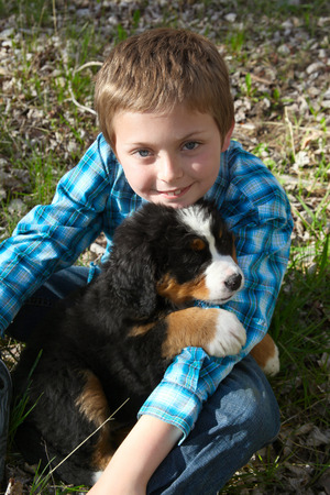 Young boy with his Bernese Mountain Dog puppyの写真素材