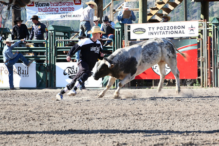 MERRITT, B.C. CANADA - May 30, 2015: Bull rider riding in the first round of The 3nd Annual Ty Pozzobon Invitational PBR Event.のeditorial素材