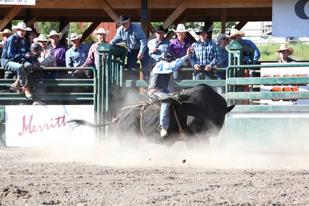 MERRITT, B.C. CANADA - May 30, 2015: Bull rider riding in the first round of The 3rd Annual Ty...