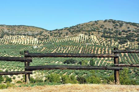 A landscape shot of a split-rail fence in front of a green tree areaの写真素材
