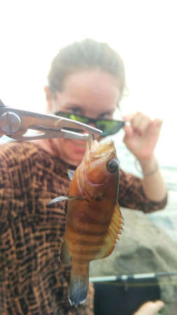 Fishing Hong Kong grouper fish in Lampung sea, Sumatra, Indonesia