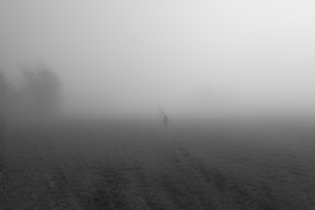 Landscape in the fogの写真素材