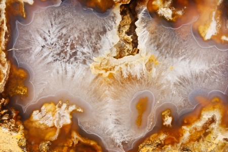 Natural brown agate  European part of Russia の写真素材