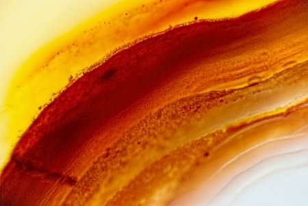 Natural brown agate macroの写真素材