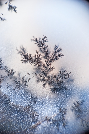 Microcrystals dendrite inside the stone macroの写真素材