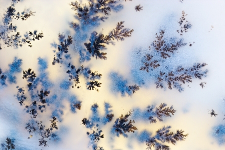 Microcrystals dendrite inside the Moss Agate macro  Kazakhstan