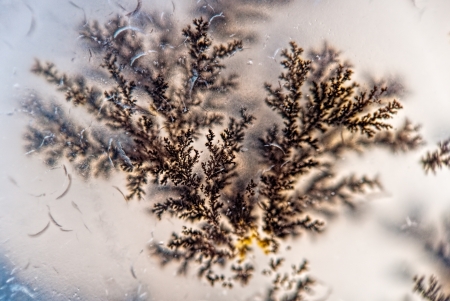 Microcrystals dendrite inside the stone macro