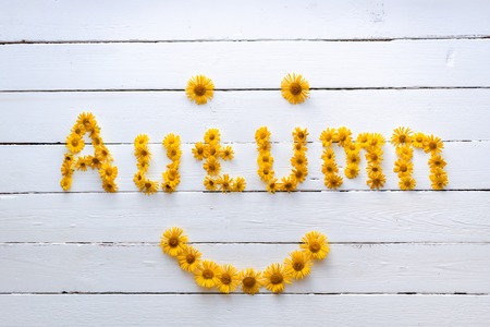 The word autumn is made up of beautiful orange wildflowersの写真素材