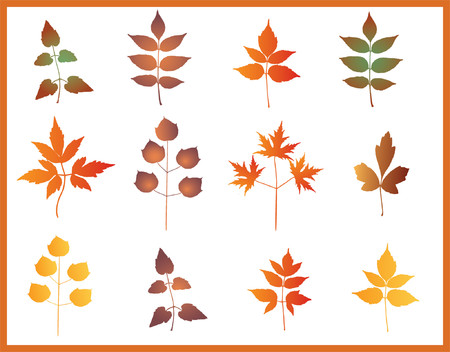 Floral backgroundのイラスト素材