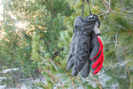 Ski gloves hangingの写真素材