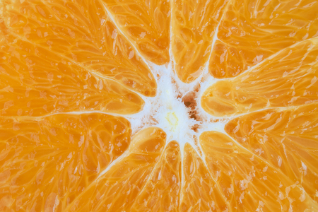 Macro image of cut orange fruit.の写真素材