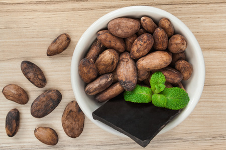 Raw cocoa beans with dark chocolate close up.の写真素材