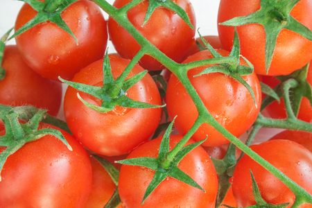 Close up image of cherry tomatoes on a branch.の写真素材