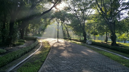 Ray of morning lightの素材