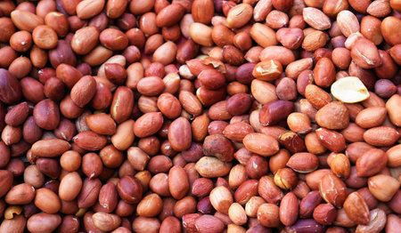 Many unshelles peanuts are ready to cookの写真素材