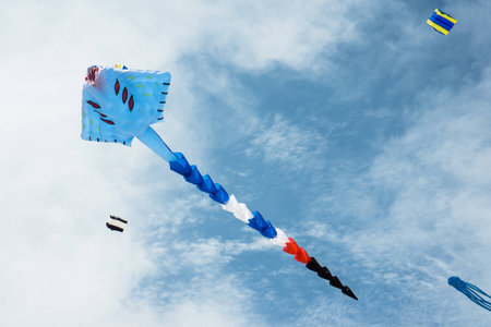 Long tail kite flying in cloudy skyの写真素材