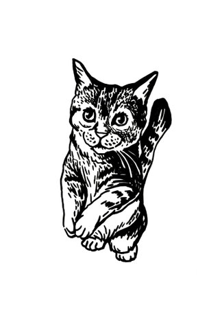 Graphical cute kitten isolated on white,vector illustration of petのイラスト素材