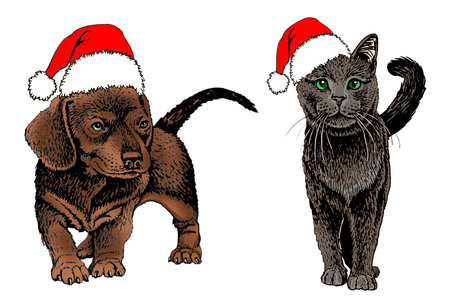 Vector drawing , puppy and cat in Santa Claus red hat on white isolated, Christmas elementsのイラスト素材