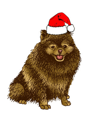 Vector hand-drawn brown puppy dog in Santa Claus red hat on white isolated,graphical petのイラスト素材