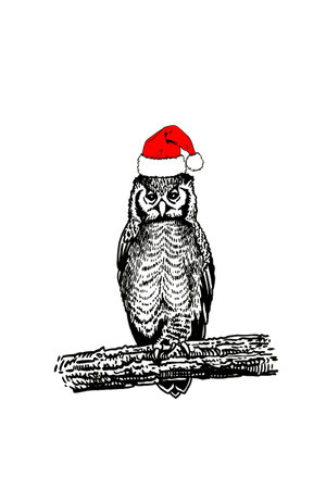 Vector owl in red Santa Claus hat sitting on the branch of the tree isolated on whiteのイラスト素材