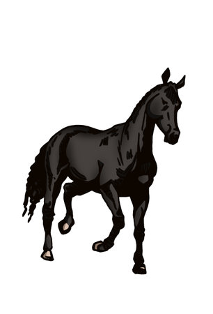 Vector hand-drawn color horse running isolated on white background,graphical illustrationのイラスト素材