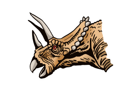 Vector color portrait of triceratops isolated on white background, graphical illustration of dinosaurのイラスト素材