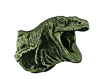 Graphical portrait of green varan isolated on white background, lizard color illustrationのイラスト素材