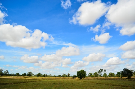 The green field and blue sky background at sunny dayの写真素材