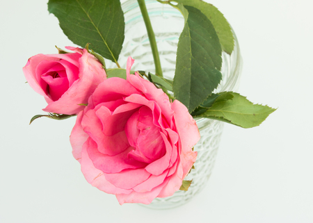 Close up of beautiful pink roses in glass vase.の写真素材