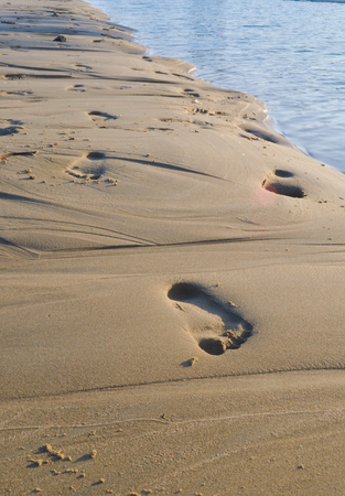 Footprint on the beachの写真素材