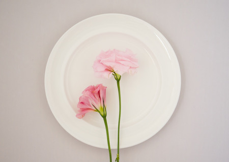 Top view of pink  flower on white plate on white background.の写真素材