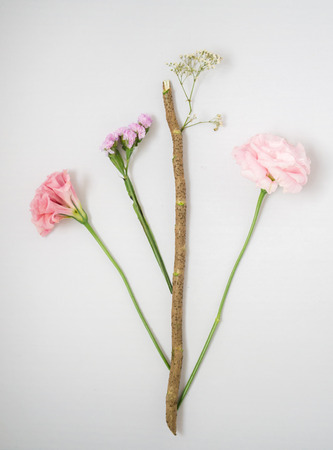 Top view of pink and purple flowers  on white background.の写真素材
