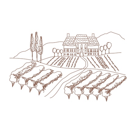 illustration of vineyard のイラスト素材