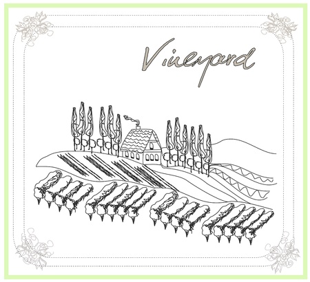 illustration of vineyard のイラスト素材